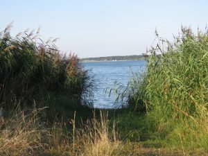 Le Lac de Der au mois d'août CP Karim TATAI