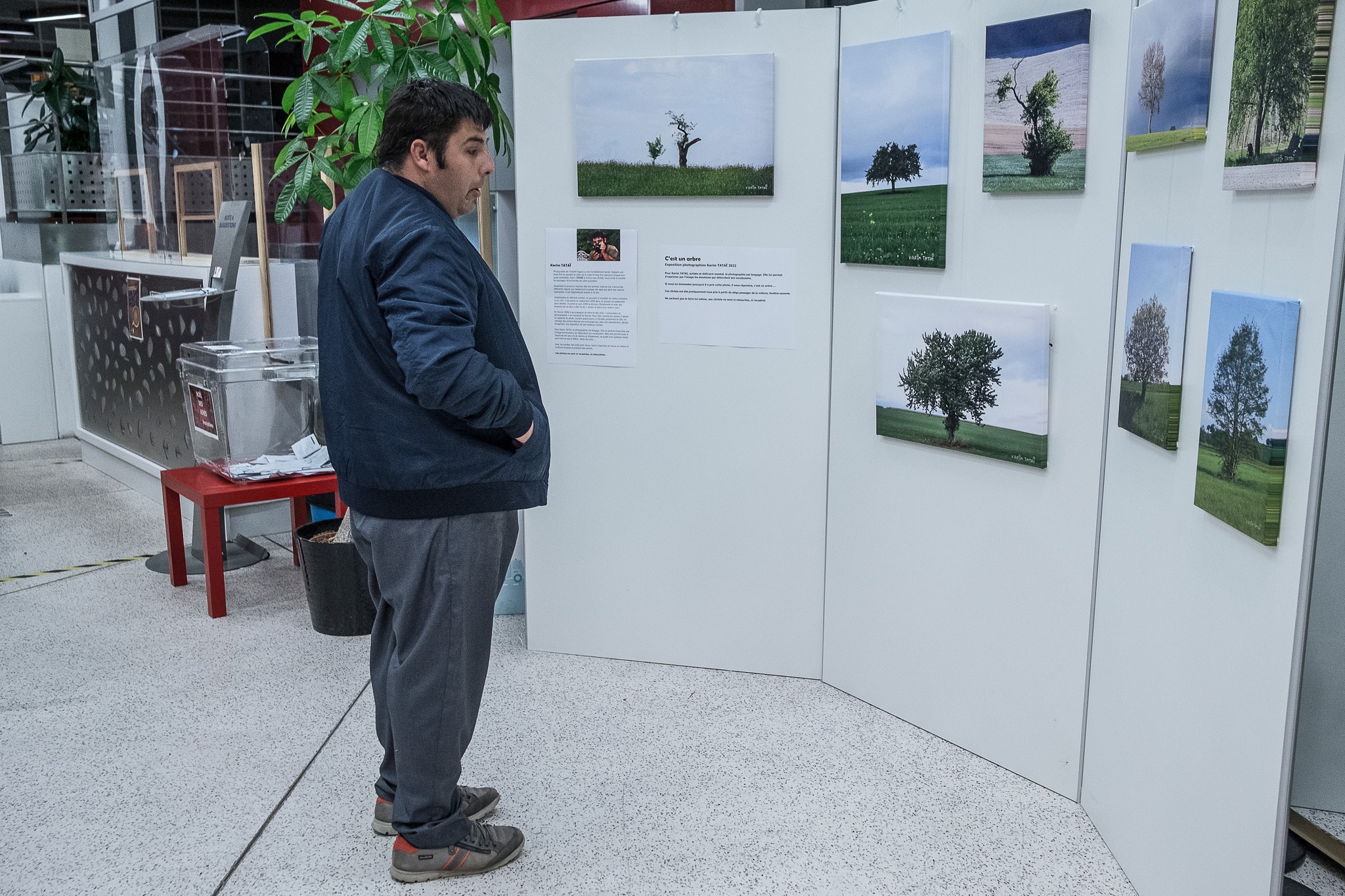 Karim-TATAI-exposition-C-est-un-arbre-Illkirch-Graffenstaden-octobre 2022